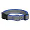 Tappi Панакс амуниция ошейник со светоотражающей лентой для собак, синий